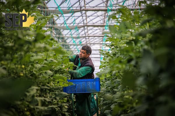 وظایف کاری یک متخصص کشاورزی در کانادا چیست؟