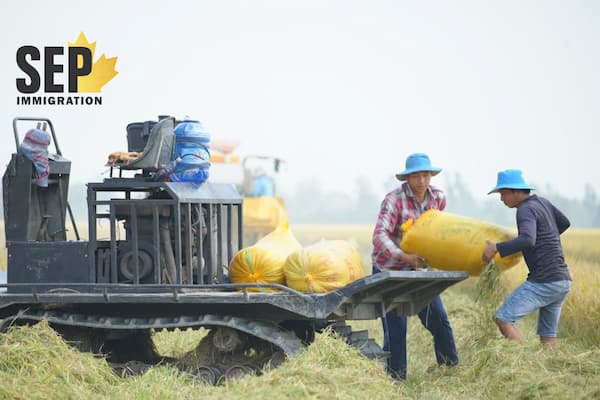 چطور میتوان برای زندگی و کار بهعنوان مشاور یا متخصص کشاورزی به کانادا مهاجرت کرد؟