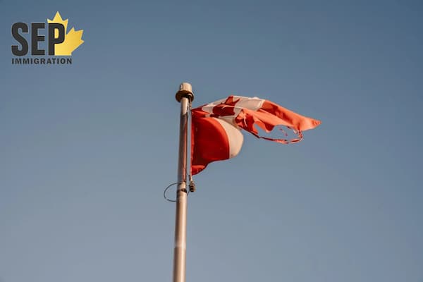 وضعیت کلی حجم متقاضیان